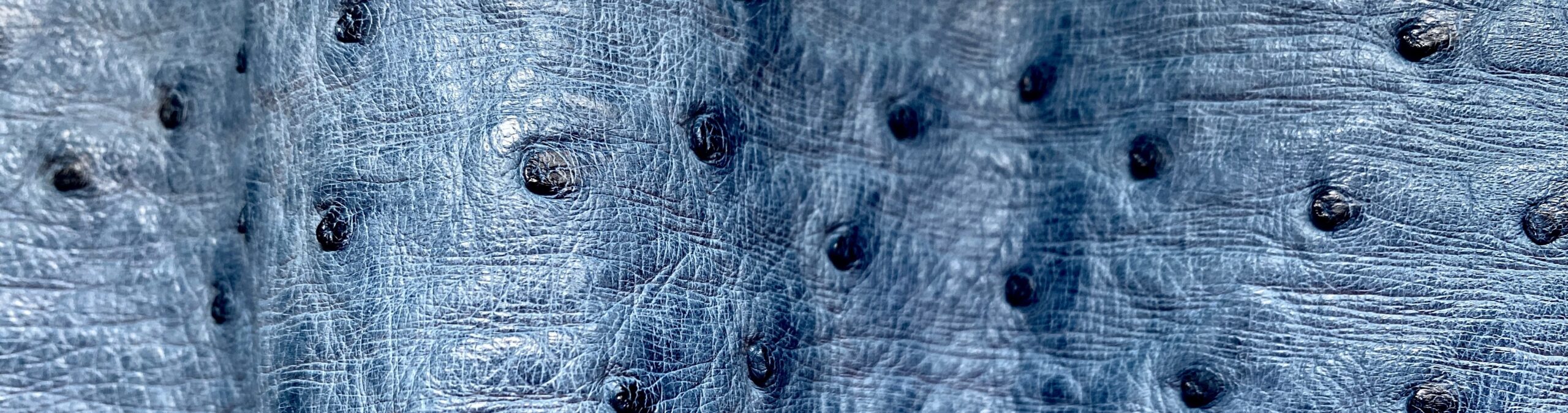 Autruche bleue texture MADAME ROYALE maroquinerie