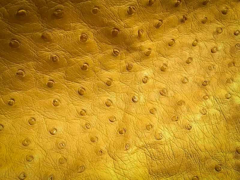 cuir autruche follicules plumes texture cuir de luxe détail autruche