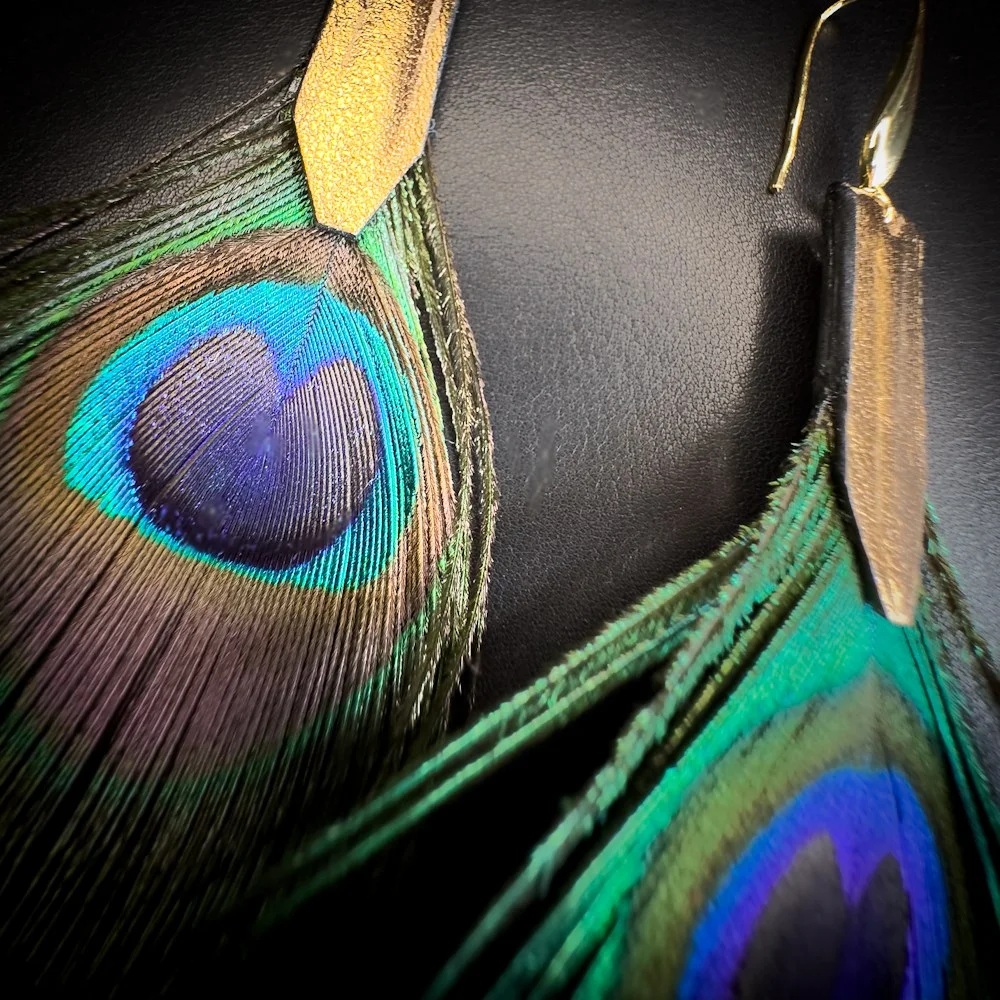 Les ocelles naturels des plumes de paon révèlent des nuances bleu saphir, turquoise et vert émeraude. Les ocelles naturels des plumes de paon révèlent des nuances bleu saphir, turquoise et vert émeraude.